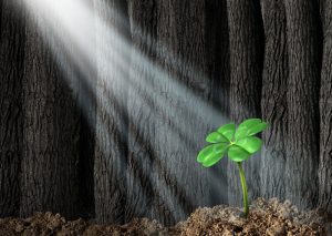 zakelijke geschillen oplossing-met solution focus methode